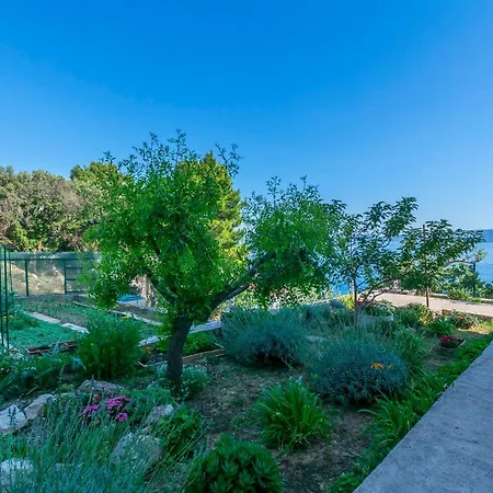 Perfect * Marusici (Split-Dalmatia)